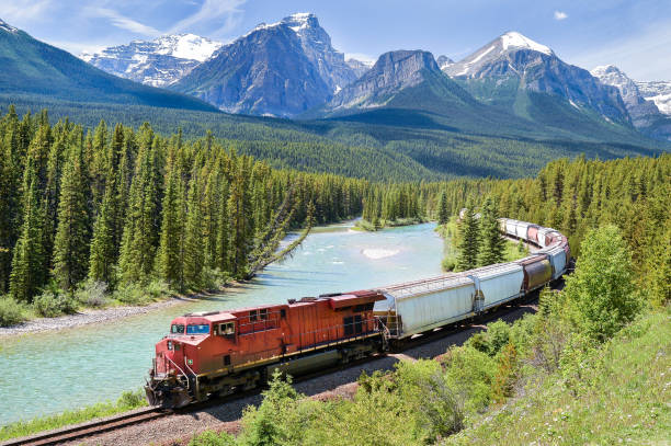 freight train moving along bow river in the canadian rockies, alberta, canada - goederentrein stockfoto's en -beelden