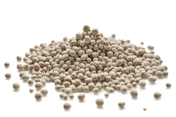 istock Granulated mineral fertilizer 1486224517
