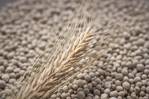 Granulated mineral fertilizer used in agriculture