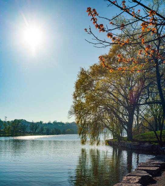 Natural Landscape - Bayfront Park in Hamilton, Ontario