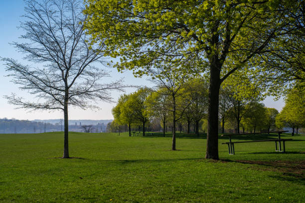 istock Natural Landscape - Bayfront Park in Hamilton, Ontario 1486226514