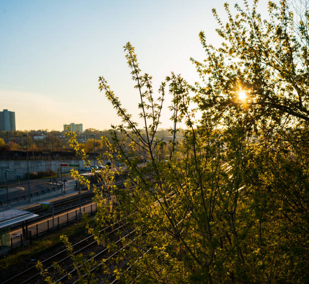 Lens flare through Tree Branch with a Train Shunting Yard in the Background in Hamilton, Ontario