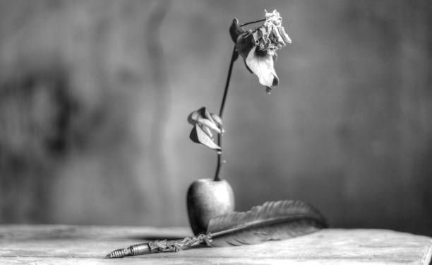 istock dry flowers on a small vase in black and white 1486226975