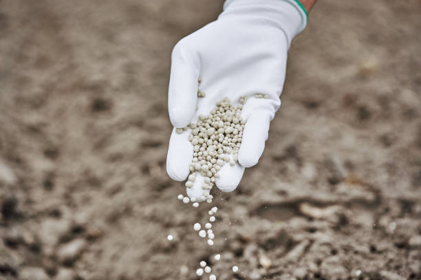 Fertilizante mineral granulado - foto de acervo