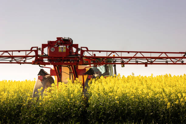 istock Tractor spraying yellow oilseed field 1486227289