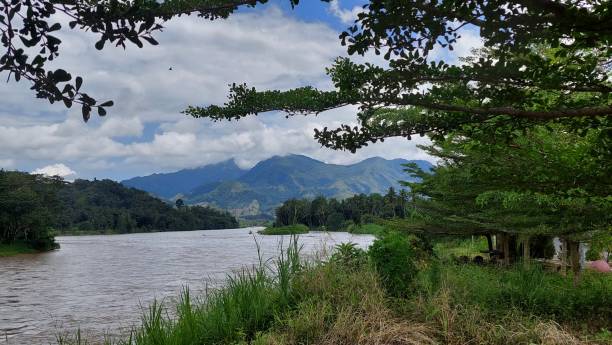 istock Views of mountains and rivers and shady trees 1486228439