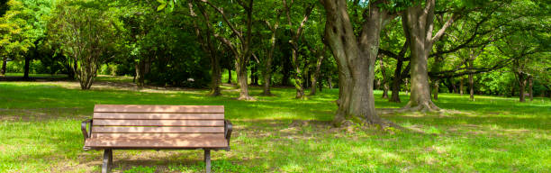 istock banner image of park bench 1486230599