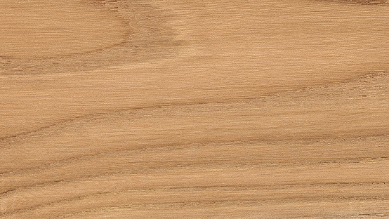Honeylocust wood texture