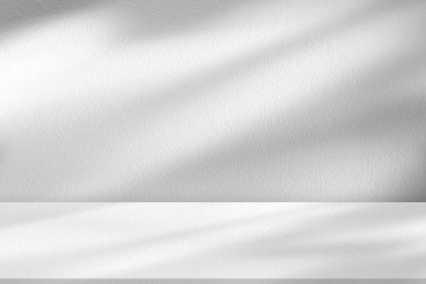 istock Concrete Wall Texture with Leaves Shadow on Cement floor Background,Empty White,Grey Studio Room Display with window light on Table Top,Backdrop for Cosmetic Product Display Presentation 1486235966