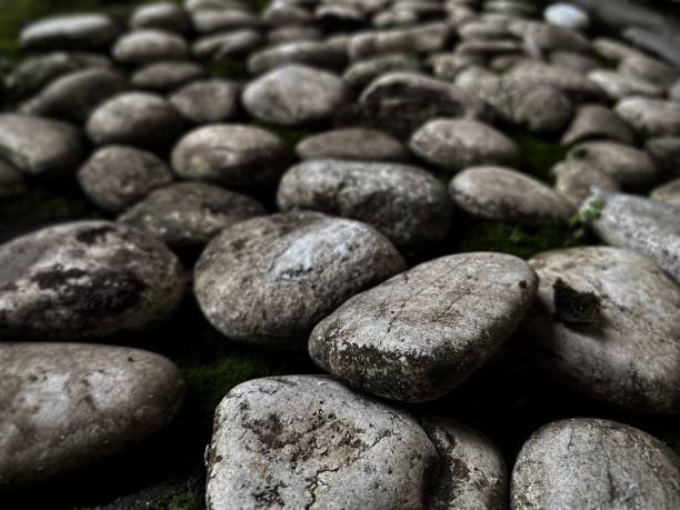 istock Grey rocks at the garden 1486236347