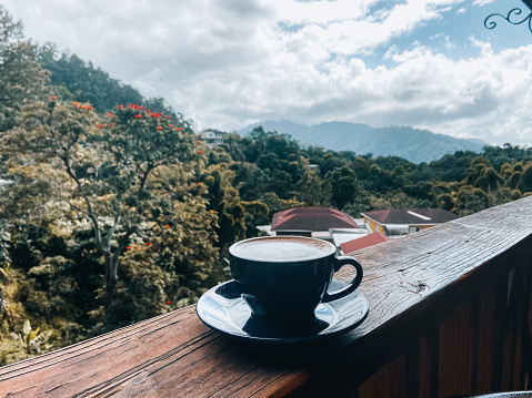 Enjoy a cup of freshly brewed coffee amidst the stunning blue mountains of Jamaica, surrounded by lush greenery and breathtaking views. Indulge in the rich flavors and aromas of the region, while taking in the natural beauty that surrounds you.