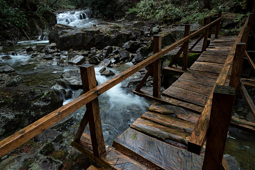 Wooden bridge and mountain stream Nagano Prefecture