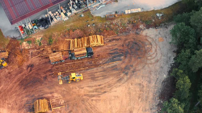 Yellow loader carries wooden logs putting on stack in yard