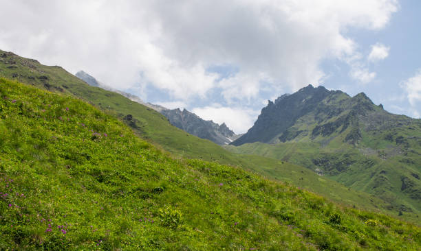 Free Stock Photo of Green Mountain Valley | Download Free Images and ...