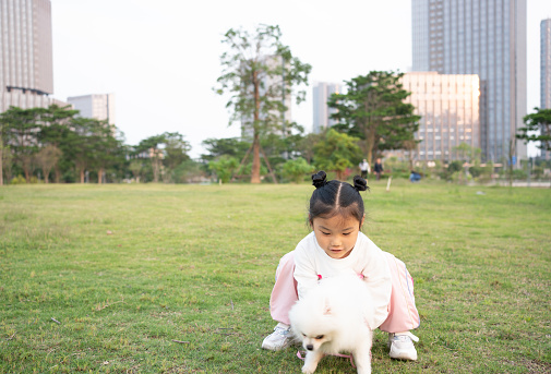 Girl and Pomeranian playing on the grass