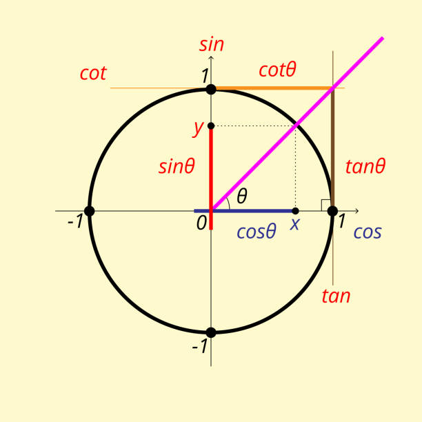 trigonometric circle Detailed vector trigonometric circle for studying math, sine, coscene and tangent, exact sciences. trigonometry stock illustrations