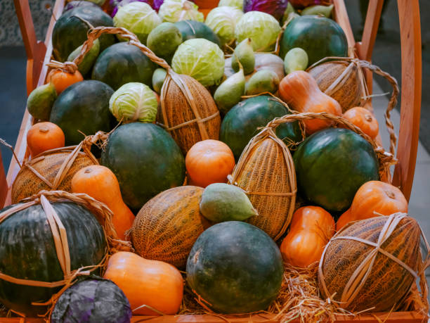 Vegetable and fruits collection (Cucurbitales). vegetarian farm concept