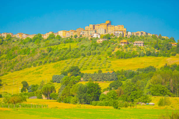 istock Field in Italy. Farm. Summer 1486260722