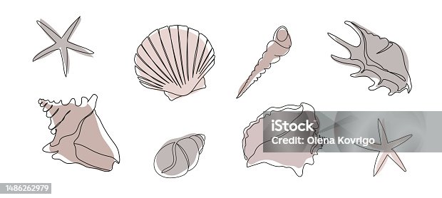 istock Seashells set on an abstract background. One line drawing of a shell. Hand drawn marine illustrations of seashells. Summer tropical ocean beach style. 1486262979