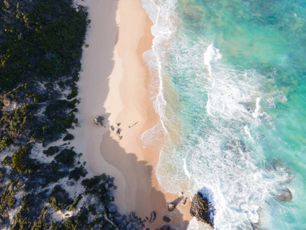 istock Aerial view of waves seen along shoreline 1486265934