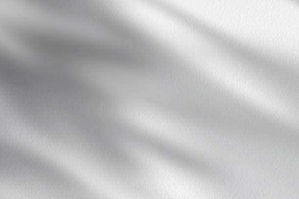 istock Concrete wall texture with Natural light leaves shadow overlay. White Cement with tropical leaf transparent on floor,Backdrop Display with sunbeams for Product Presentation,Promotion for all Season 1486267609