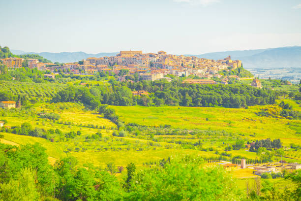 istock Field in Italy. Farm. Summer 1486271146