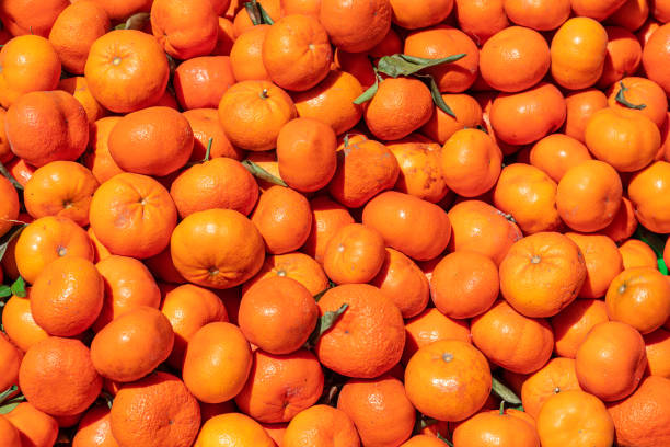 frutas de naranjas frescas - citrus fruit mandarin orange orange large group of objects fotografías e imágenes de stock