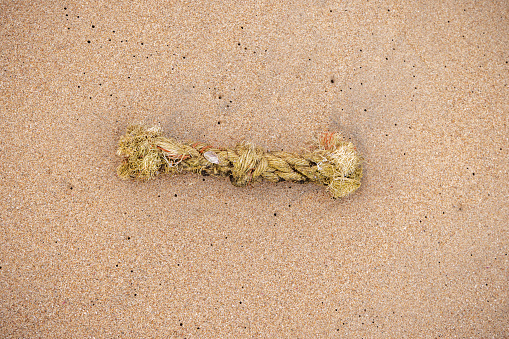 Piece of rope washed up on the tropical beach north of Trincomalee in the Eastern Province in Sri Lanka