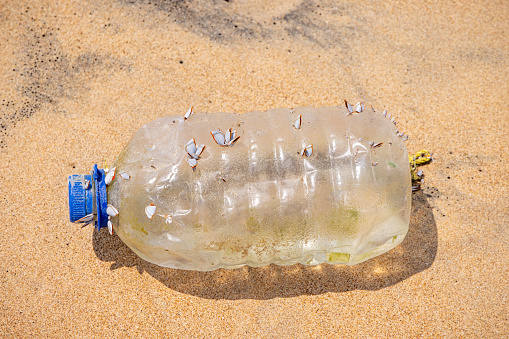 A plastic container for drinking water overgrown with mussels been washed ashore from the Indian Ocean on the tropical beach north of Trincomalee in the Easter Province in Sri Lanka