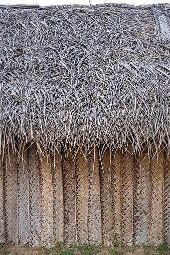 Detail of a house with walls made of plaited palm leaves and a thatched roof with dried grass in a suburb to Trincomalee in the Eastern Province of Sri Lanka