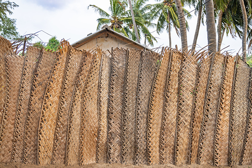 Fence made of plaited palm leaves in a suburb to Trincomalee in the Eastern Province of Sri Lanka