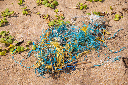 Remnants of fishing net washed up on the beach north of Trincomalee in the Eastern Province of Sri Lanka