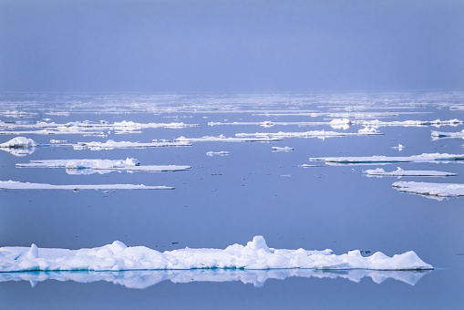 Ice floes in fog at the arctic sea