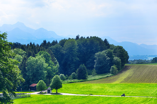 Green fields and mounatins in Traunstein district, Bavaria, Germany