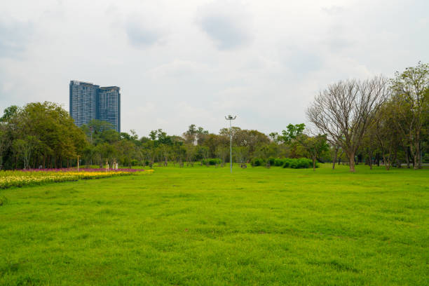 istock Green meadow grass in city public park sky witrh cloud 1486286469