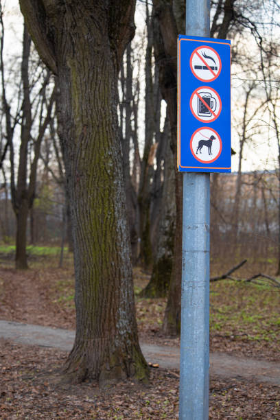 istock prohibition sign on a pole in a city park 1486286928