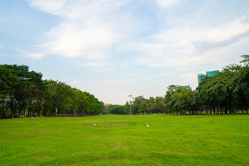 Green meadow grass in city public park sky witrh cloud nature landscape