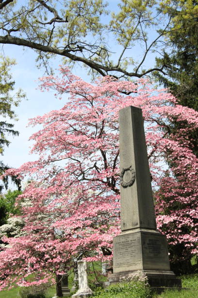 istock Pink flowers and graves 1486297469