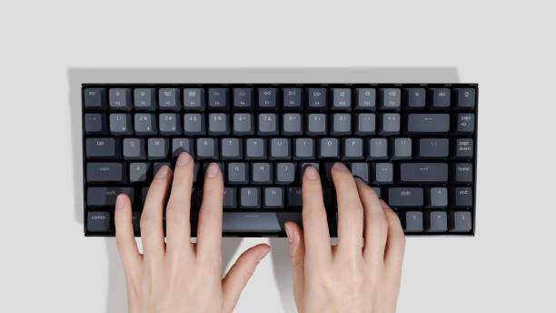 istock Computer keyboard and woman hands on white background 1486297918