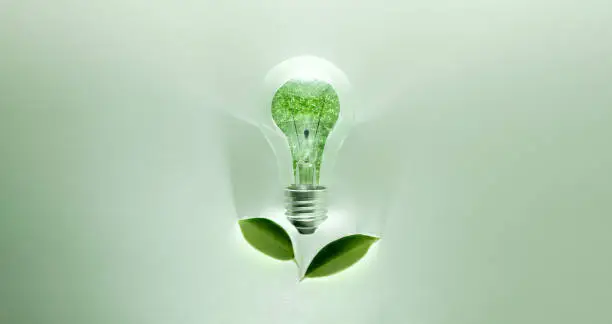 Green Energy Concepts. Wireless Light Bulb with Green Leaf as Sign of Light On. Carbon Neutral and Emission ,ESG for Clean Energy. Sustainable Resources, Renewable and Environmental Care