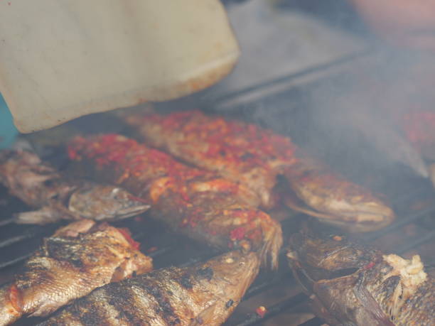istock Selective focus of cooking fish. Baking and roasting marinated fish on barbecue grill. Thunnini grilled over charcoal. Summer barbeque hand marinade the fish. 1486311156