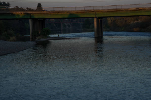 istock Ducks on the Sacramento River 1486321645