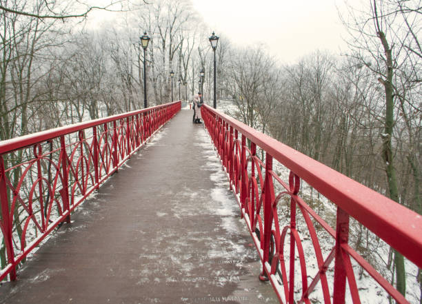 istock Park bridge over the road in Mariinsky Park 1486323949