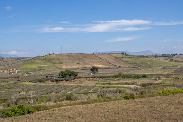 istock Country with a hill in the spring, Sicily, Italy 1486330360
