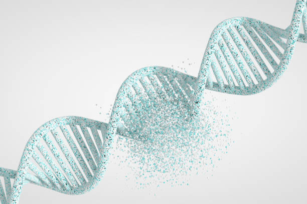 istock Dna Damage Genetic Disorder Dna Helix Molecule 1486330686