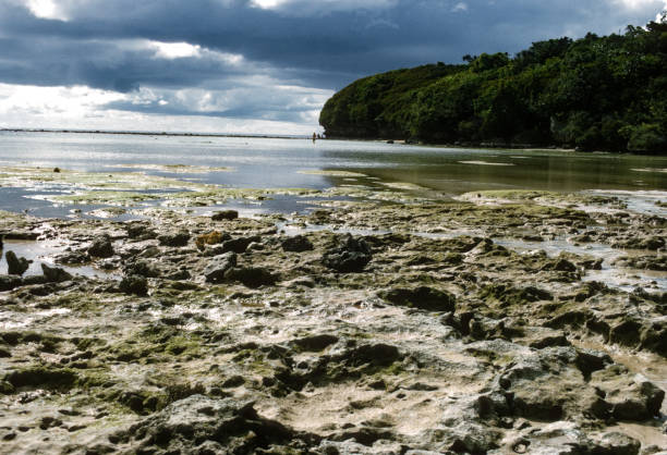 Guam - Tumon Bay - Low Tide Coral Reef - 1972