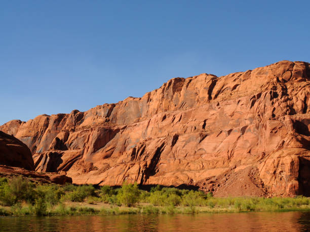 istock Colorado River Arizona 1486333692