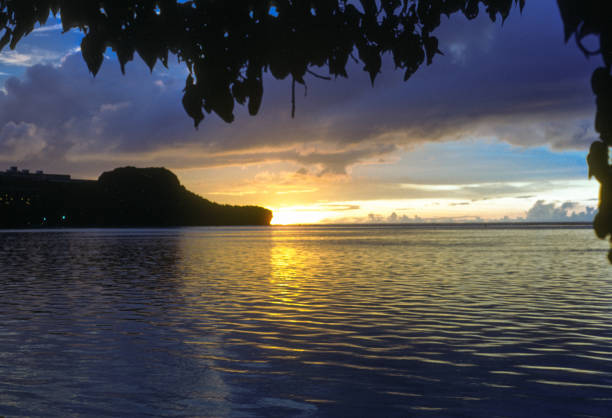 istock Guam - Tumon Bay - Sunset & Palm Leaves - 1972 1486333834