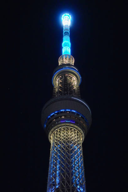 istock Tokyo skyline in the evening 1486336715