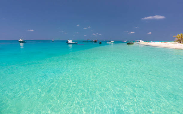 istock Coast of the Indian Ocean 1486340965